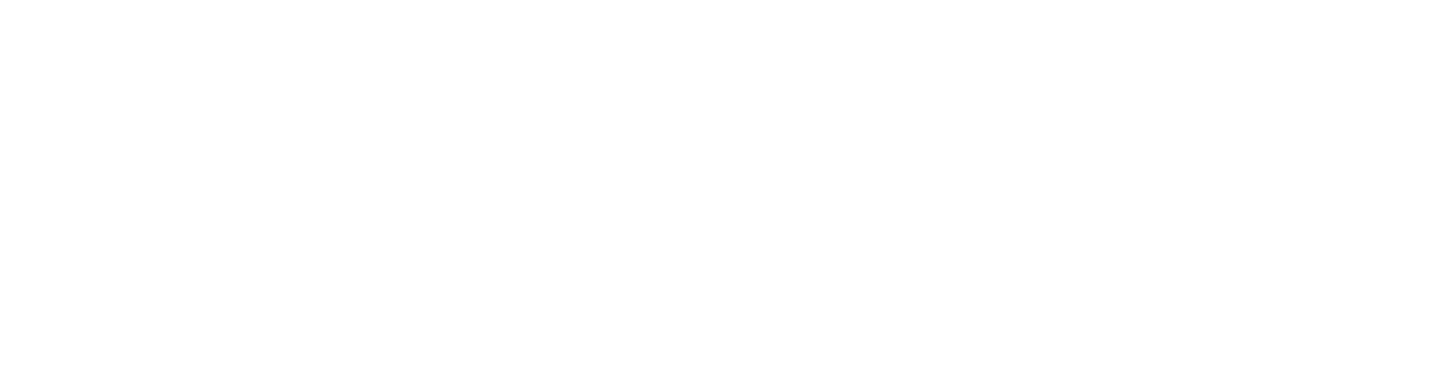 Più Sviluppo